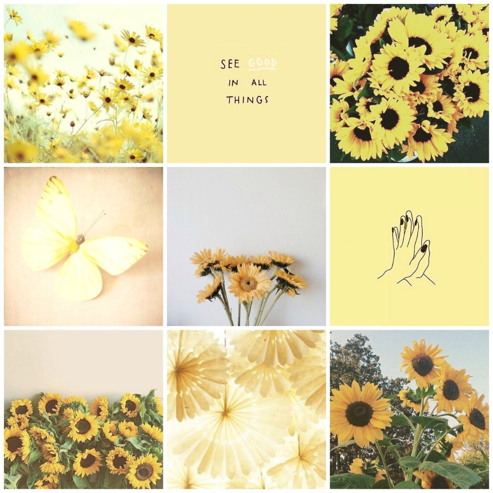 Yellow Flower Aesthetic Wallpapers