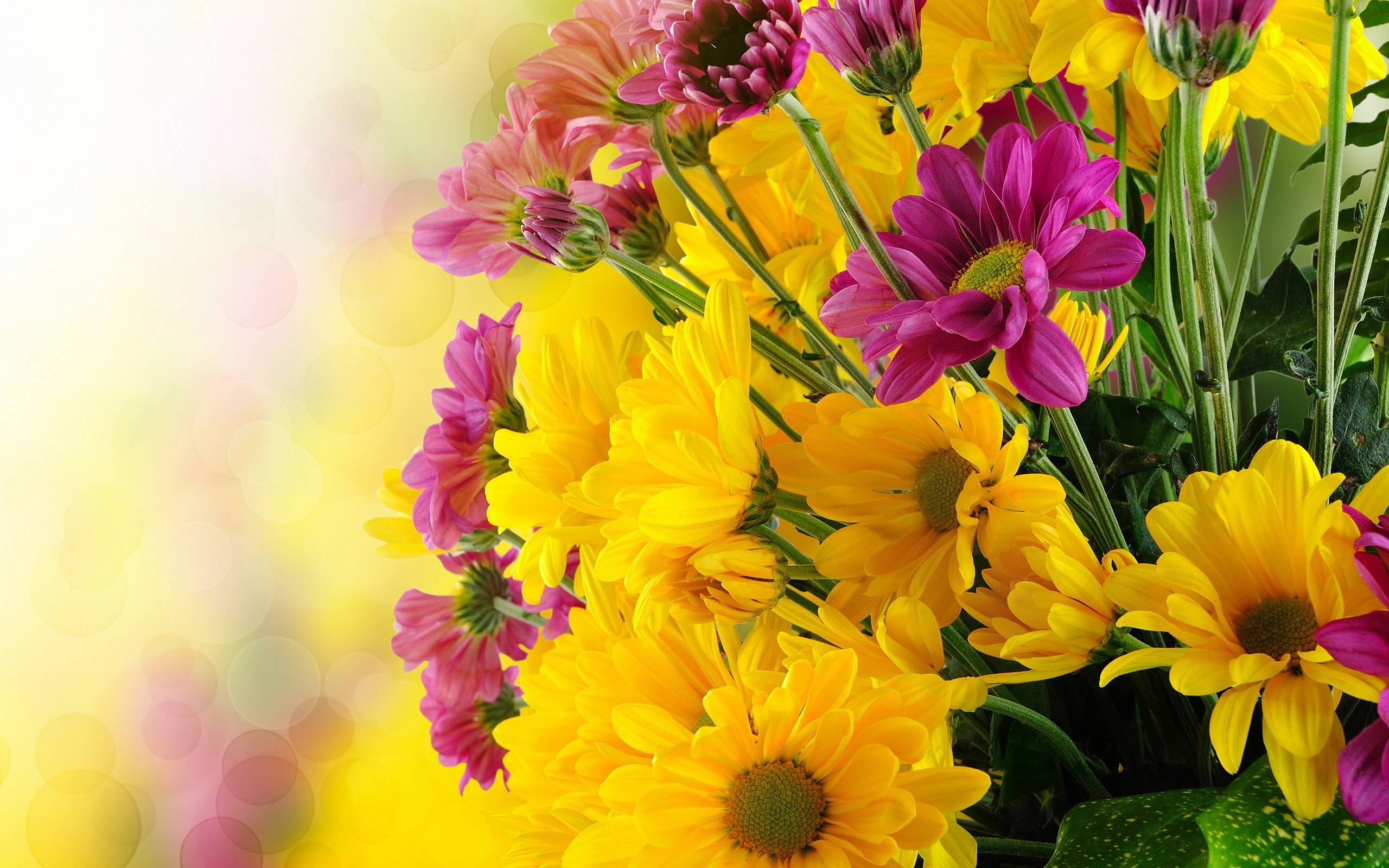 Yellow Flowers Wallpapers