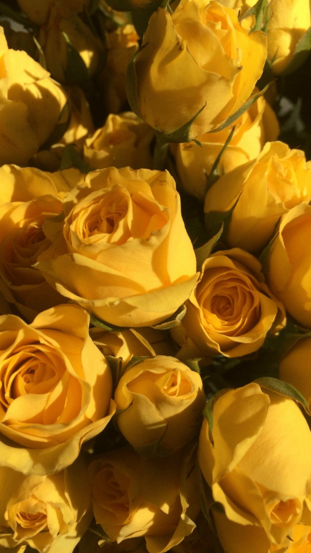 Yellow Flowers Wallpapers