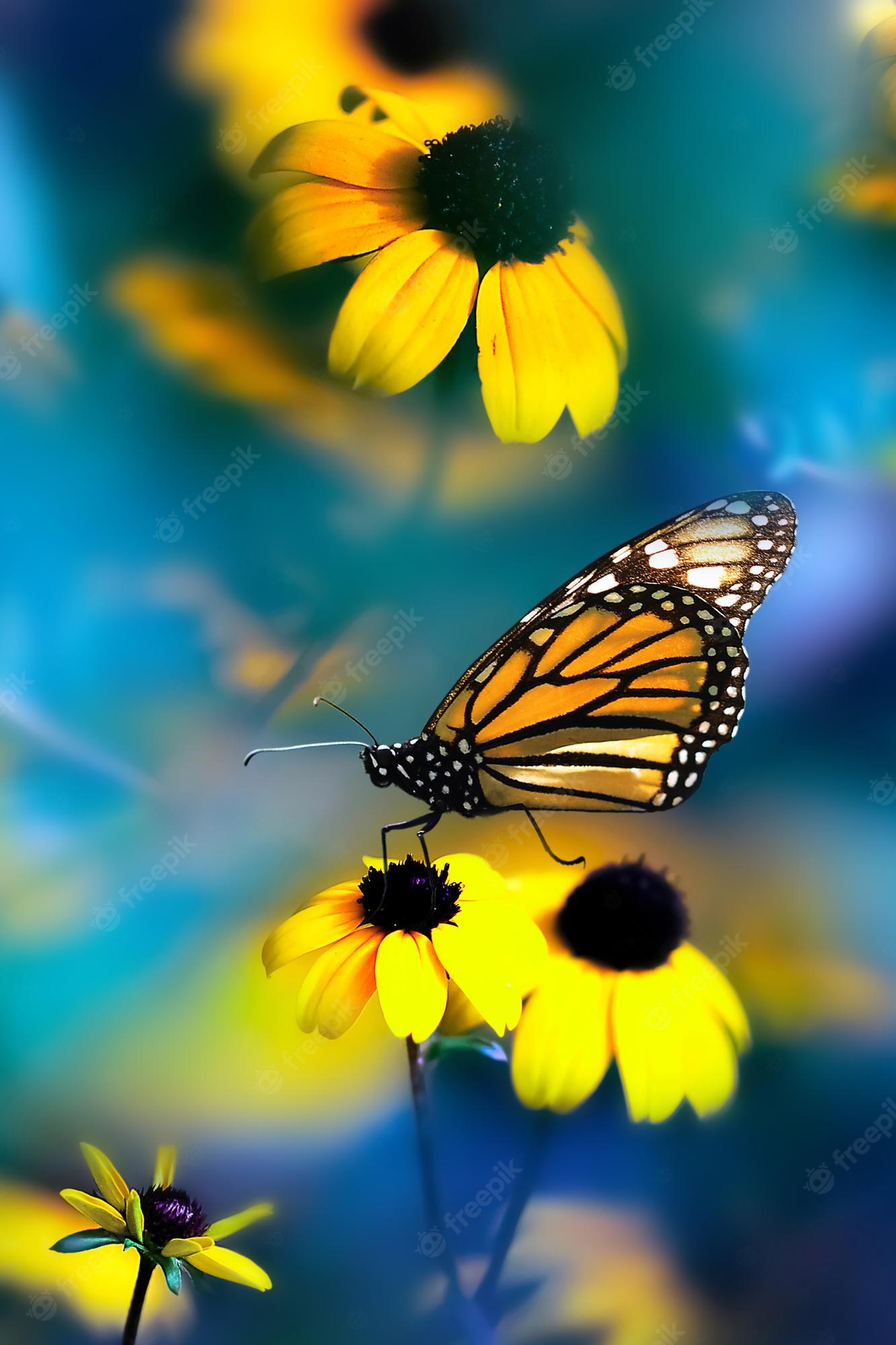 Yellow Flowers And Butterflies Wallpapers