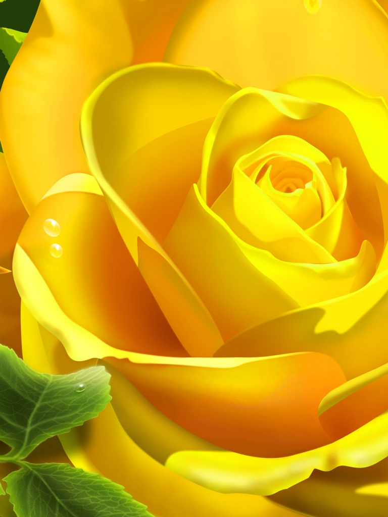 Yellow Rose Flower Wallpapers