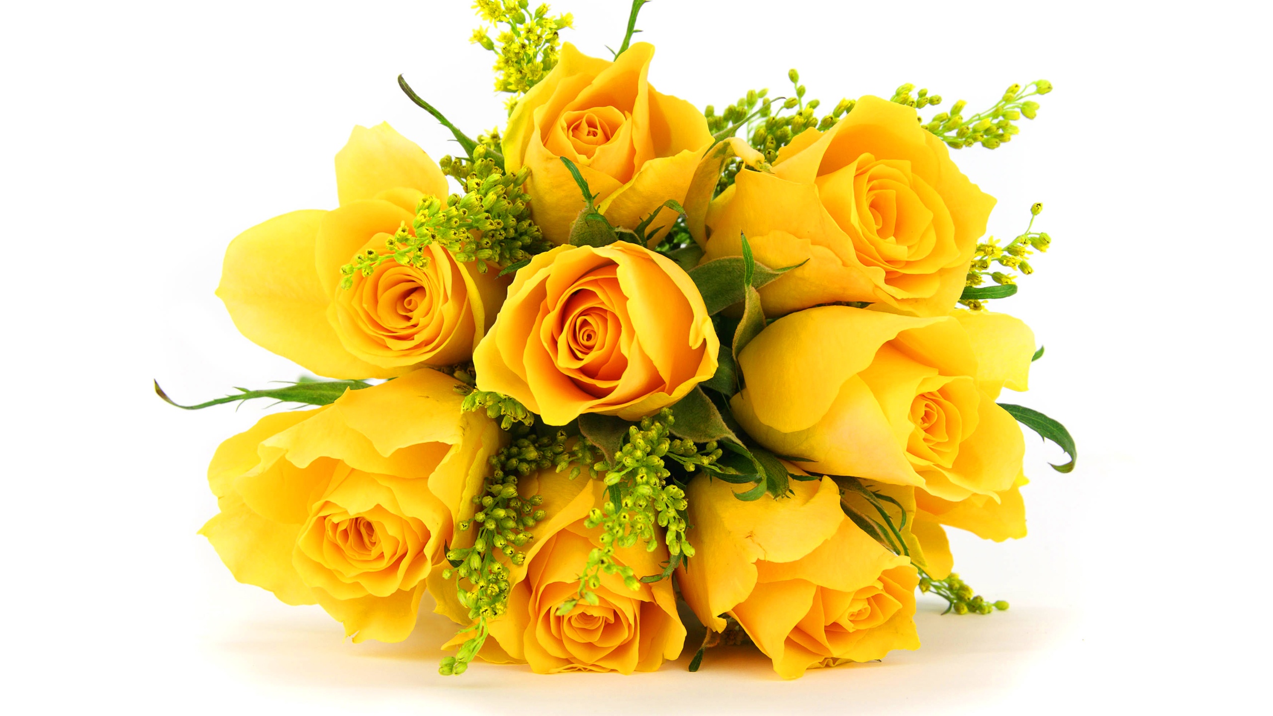 Yellow Roses Wallpapers