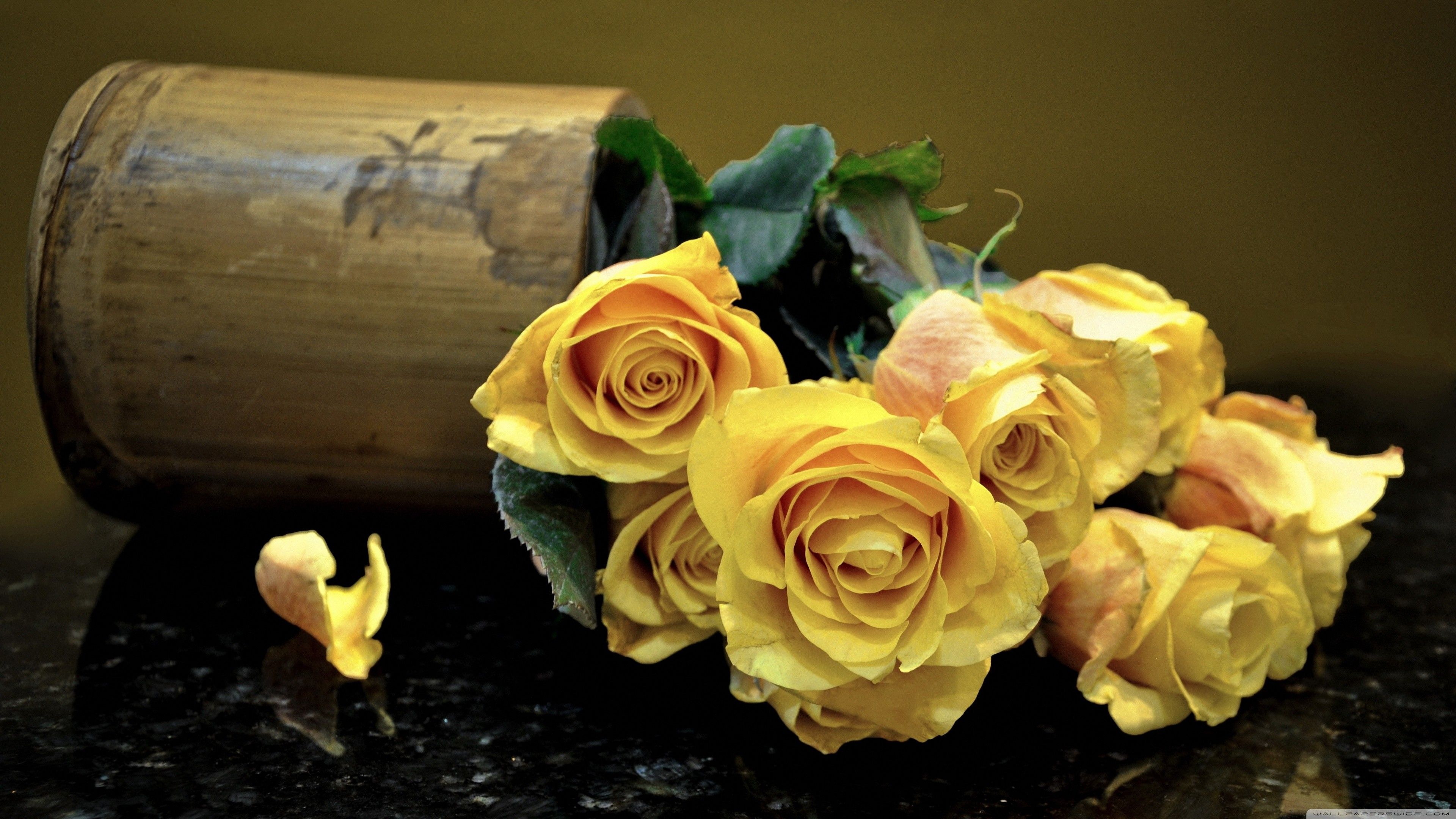 Yellow Roses Wallpapers