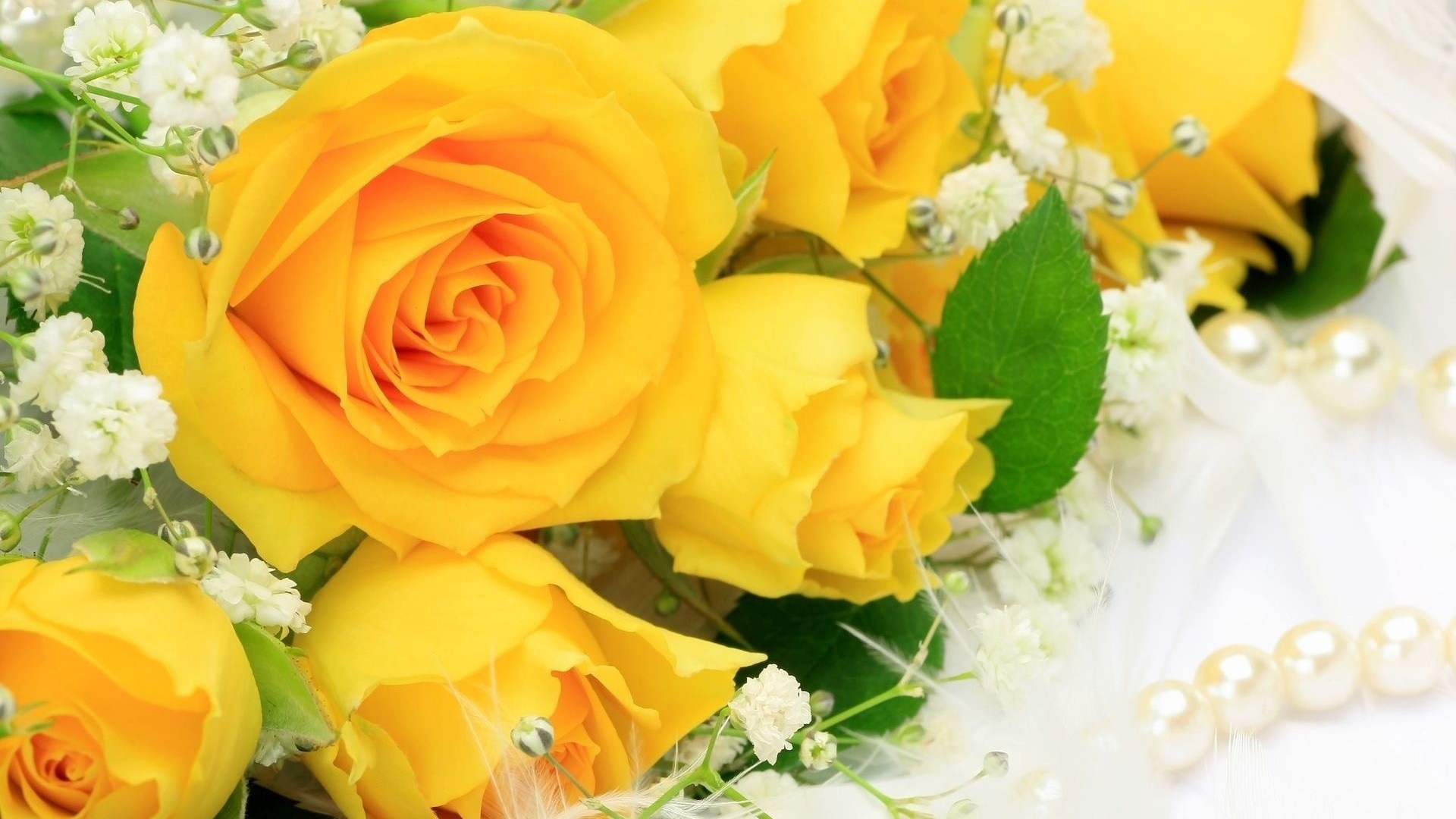 Yellow Roses Wallpapers