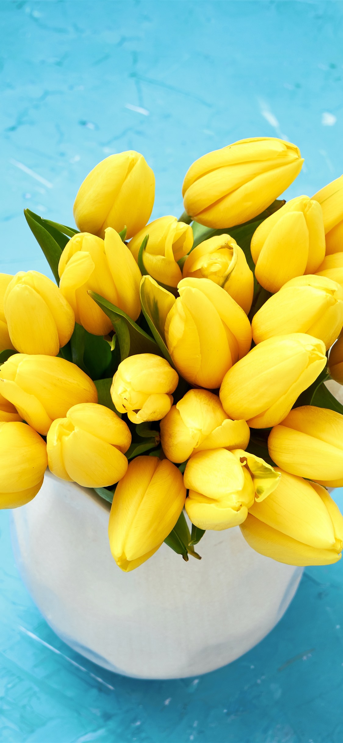 Yellow Tulips Wallpapers