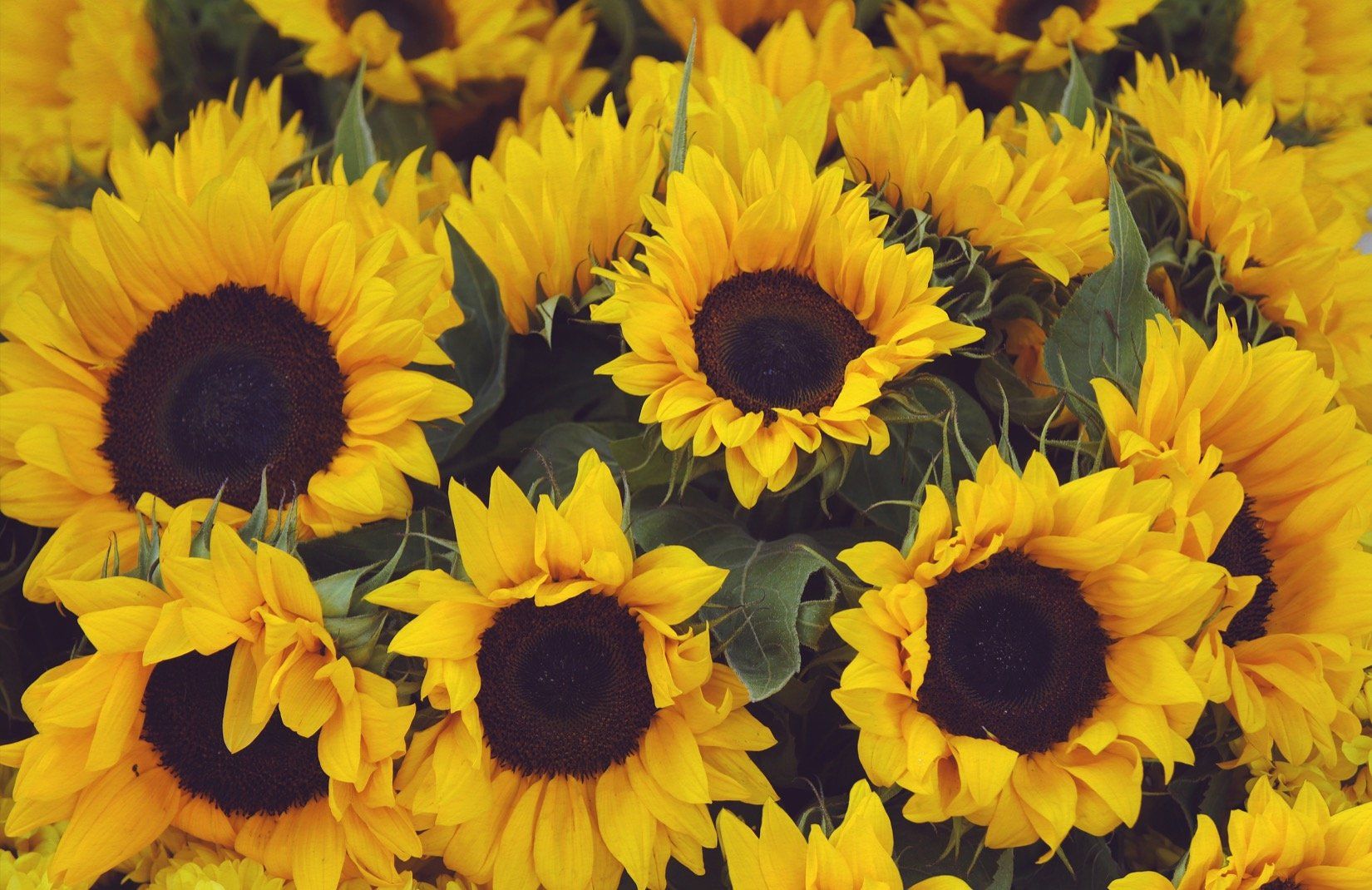 Yellow Vintage Wallpapers