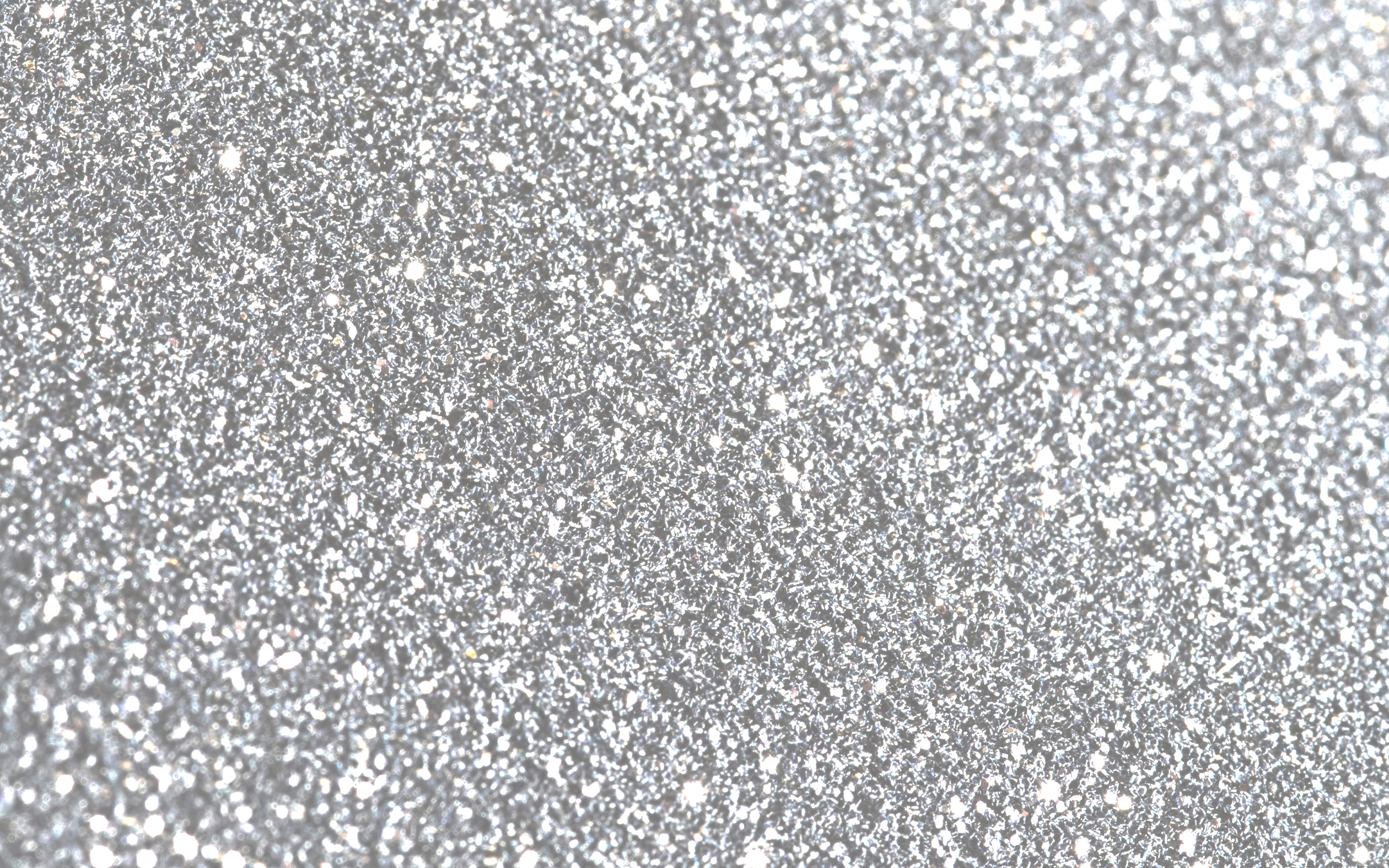 White Glitter Background