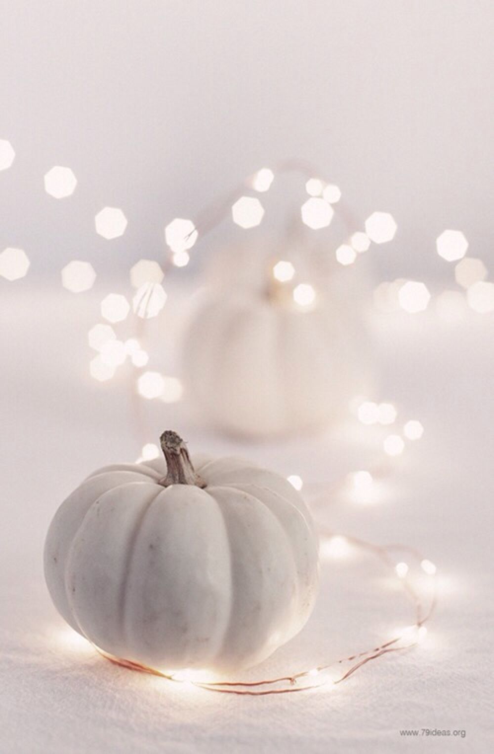 White Pumpkin Background