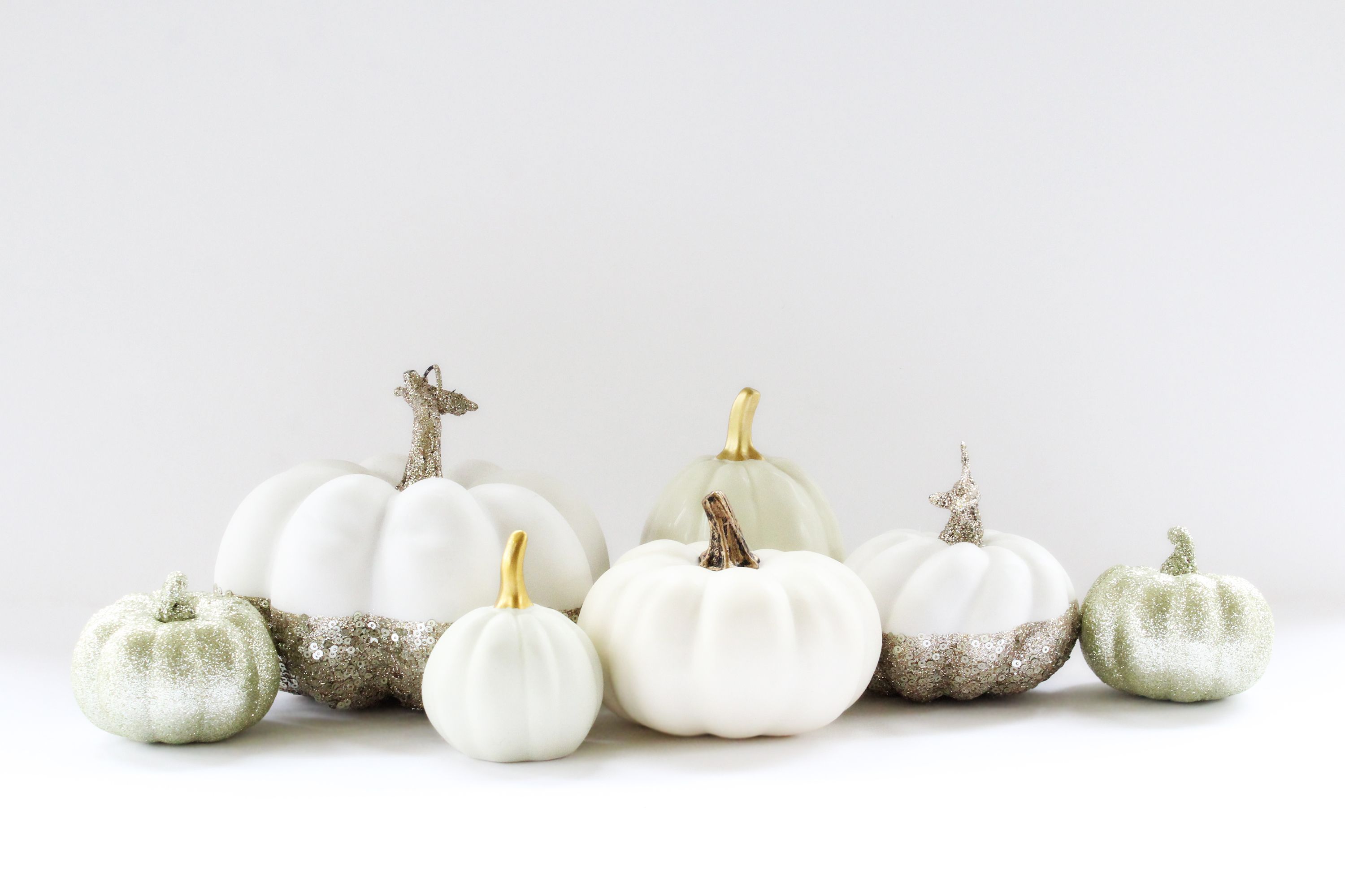 White Pumpkin Background