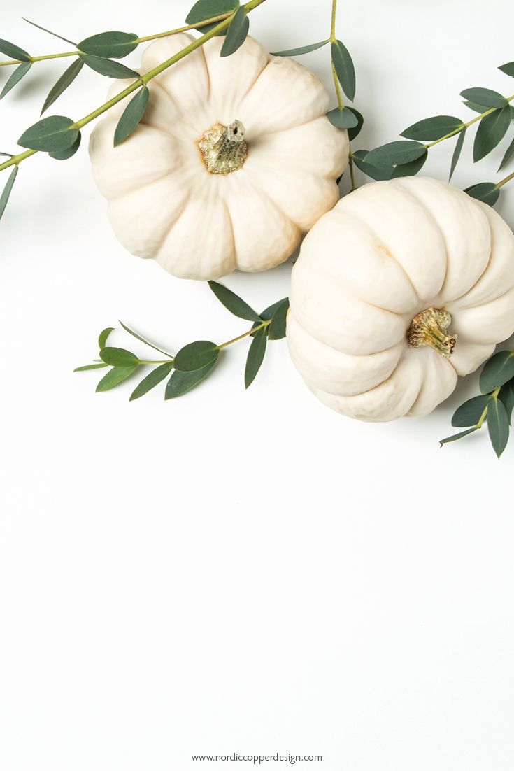 White Pumpkin Background