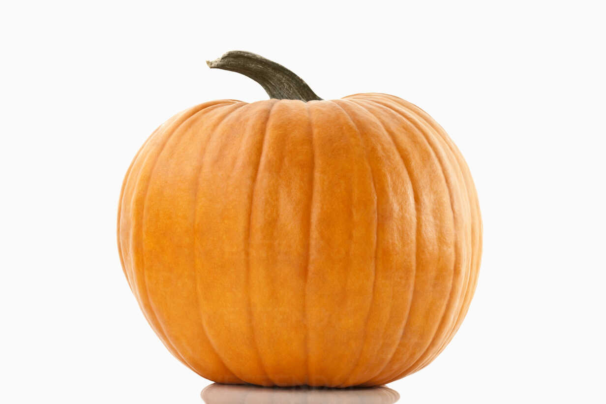 White Pumpkin Background