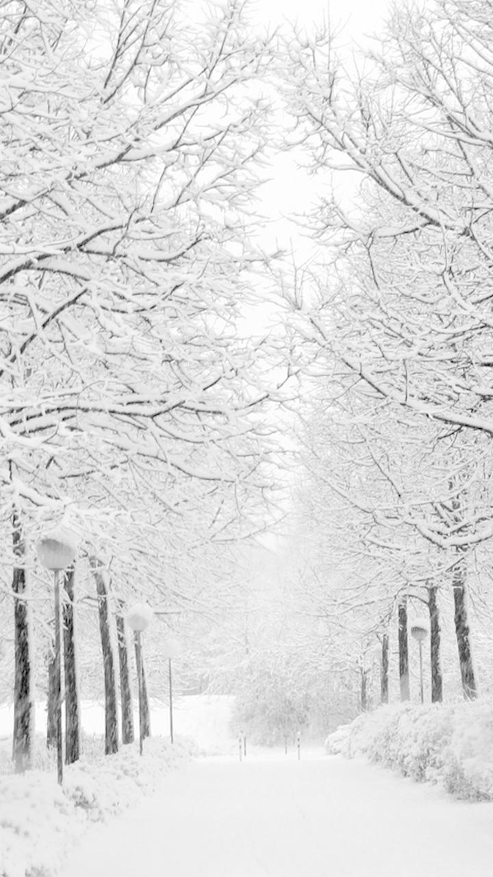 White Winter Background