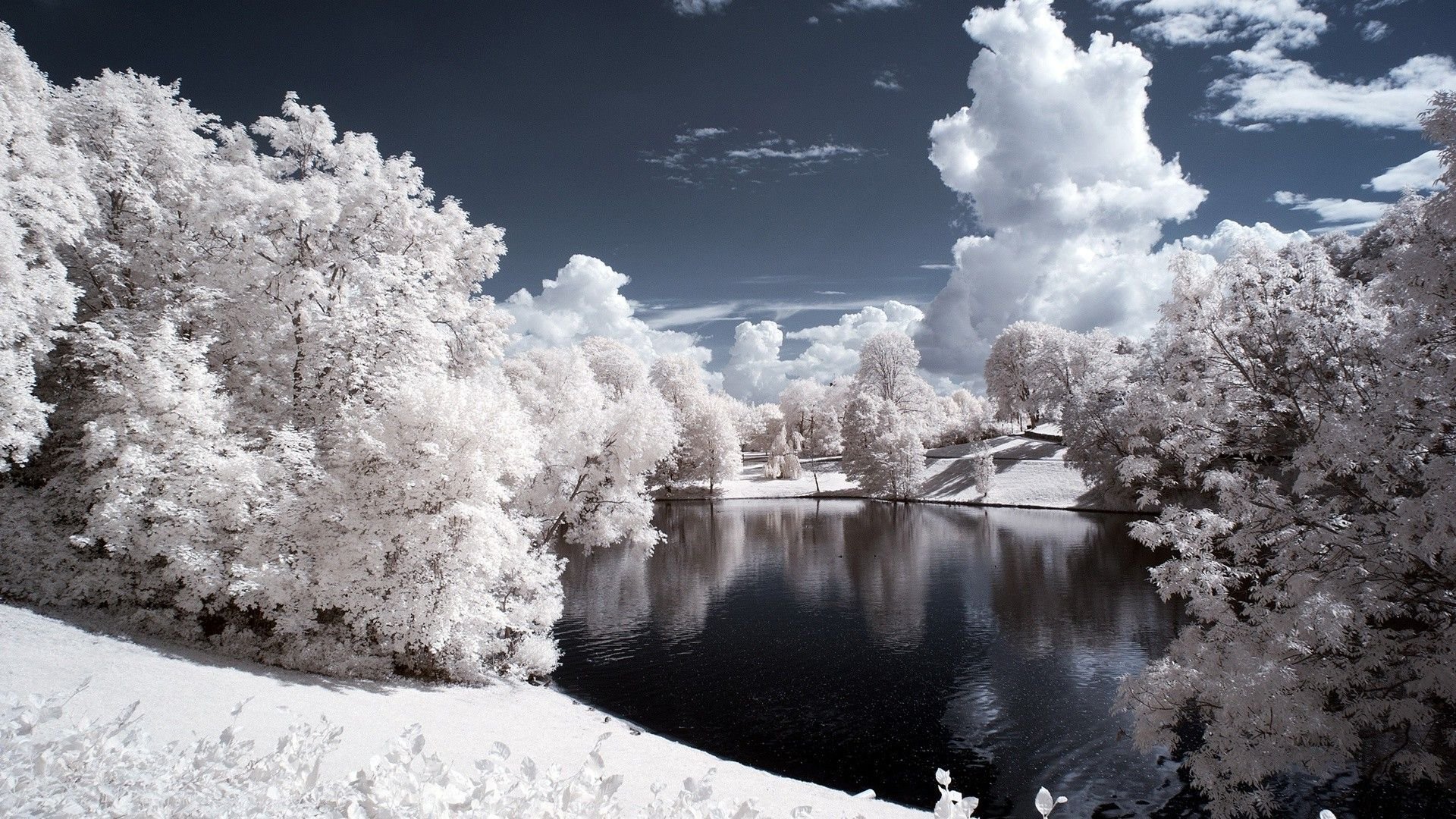 White Winter Background