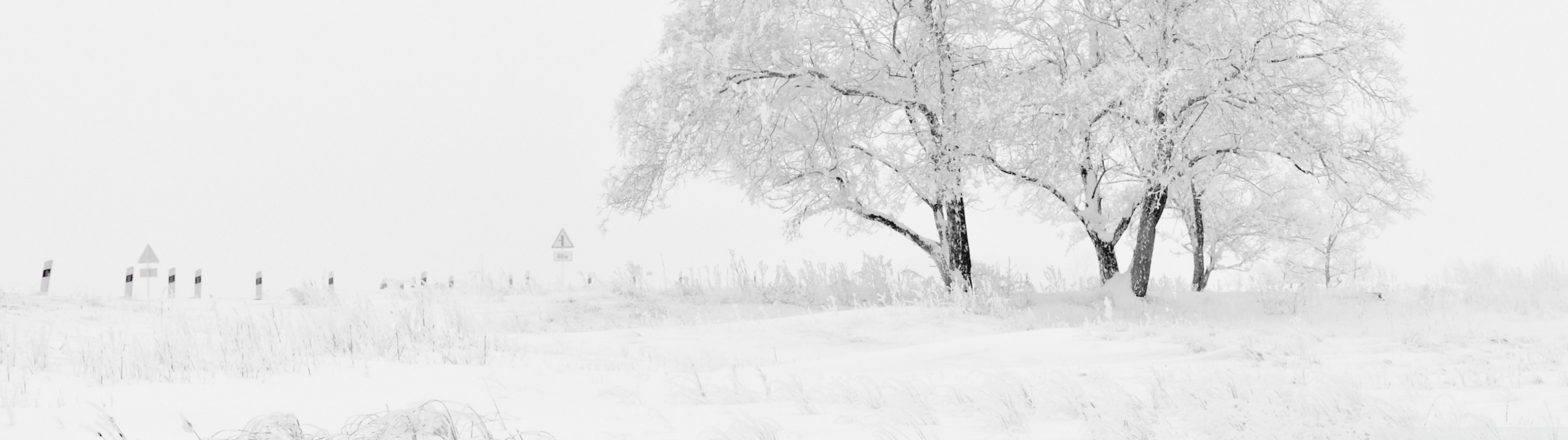 White Winter Background