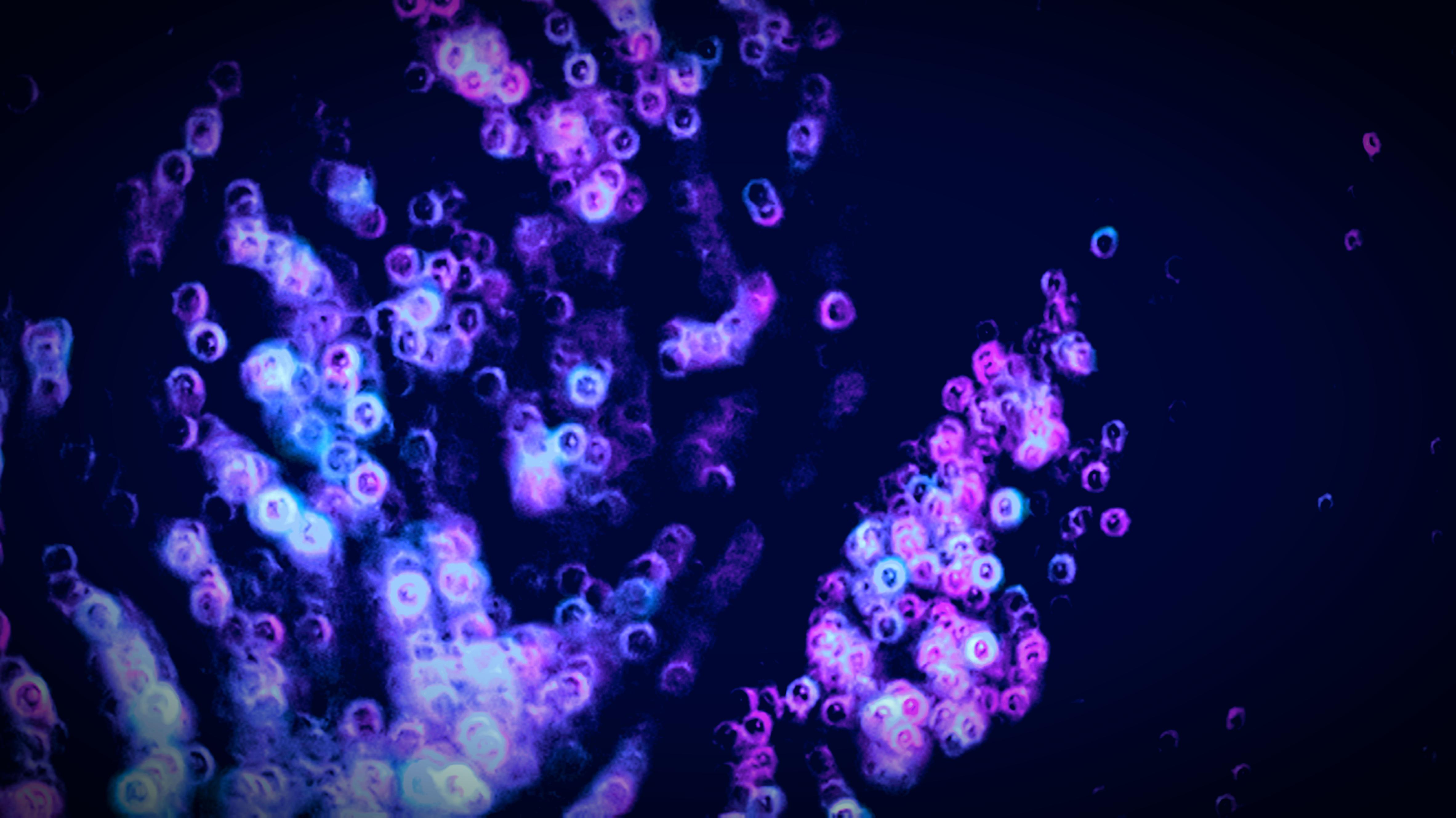Abstract Bubble 4K Wallpapers