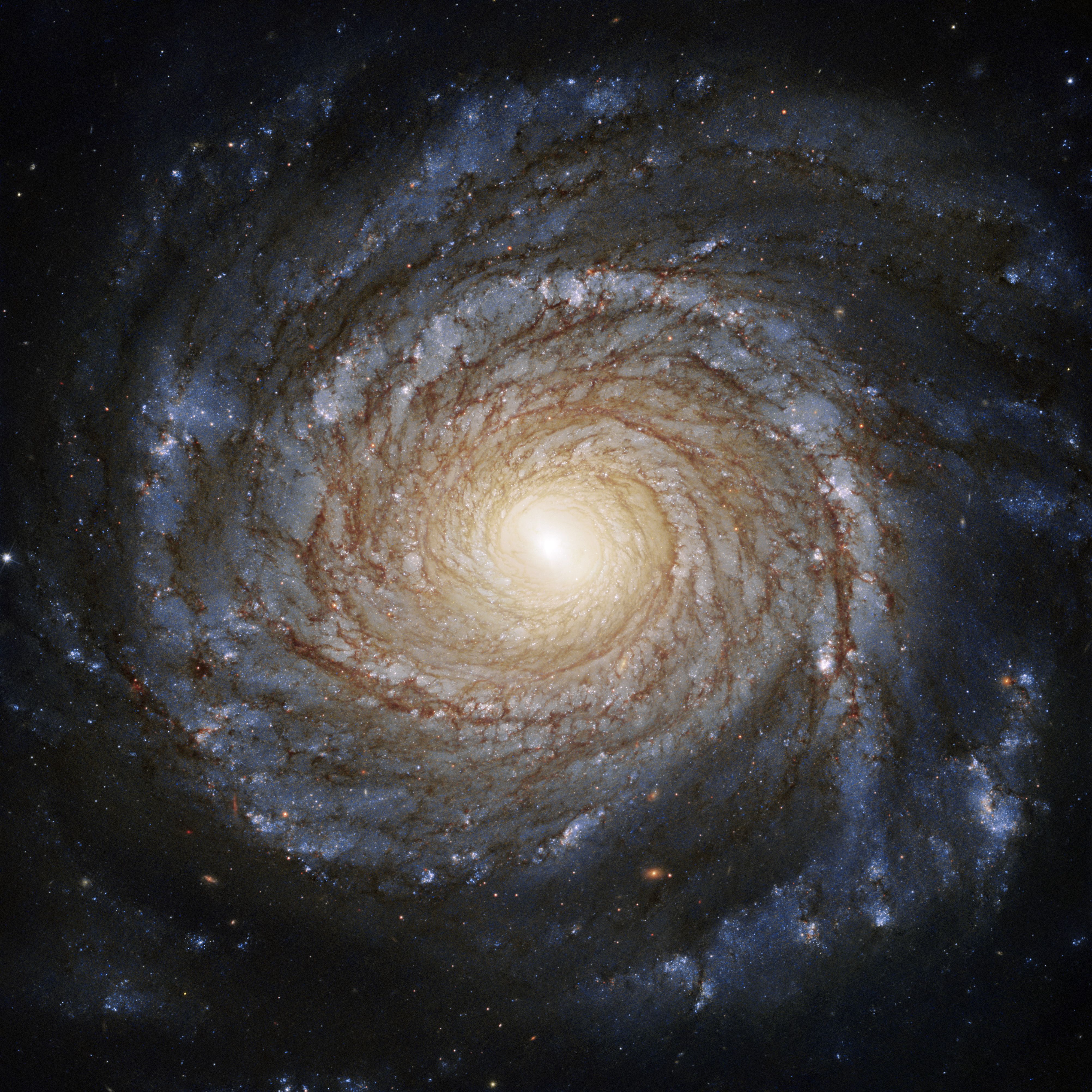 Spiral Galaxy Abstract 4K Wallpapers