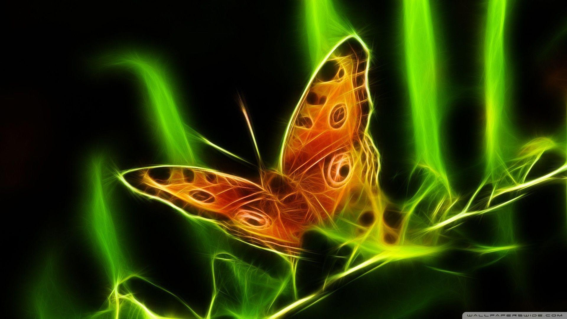 A Colorful Abstract Butterfly Wallpapers