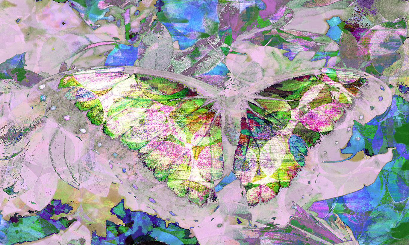 A Colorful Abstract Butterfly Wallpapers