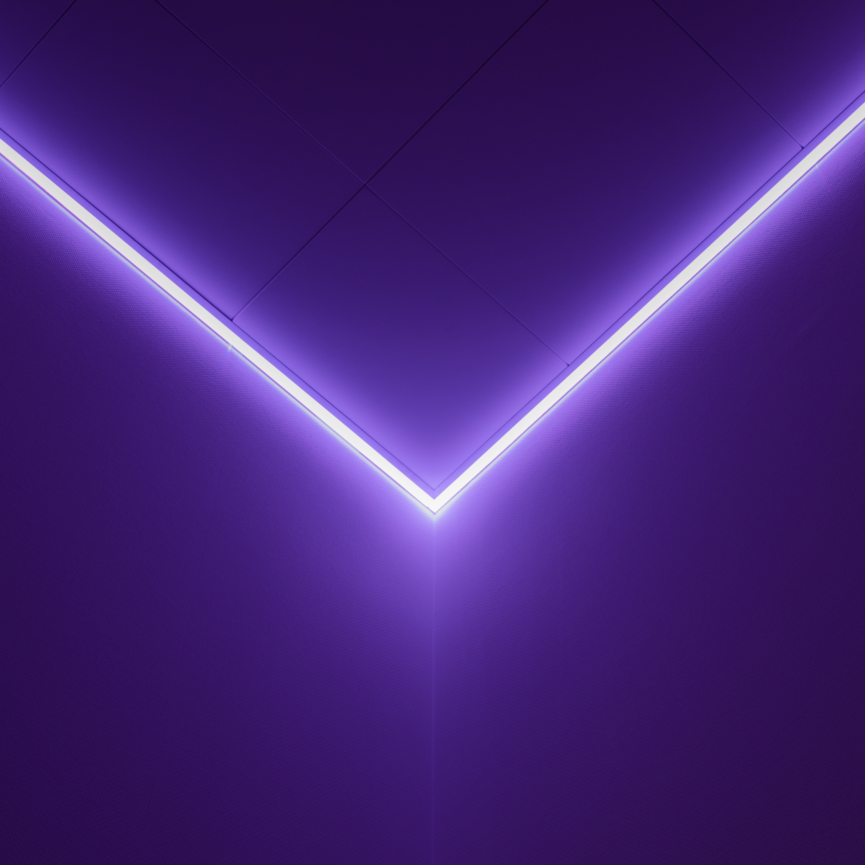 Purple Glowing Lines Wallpapers