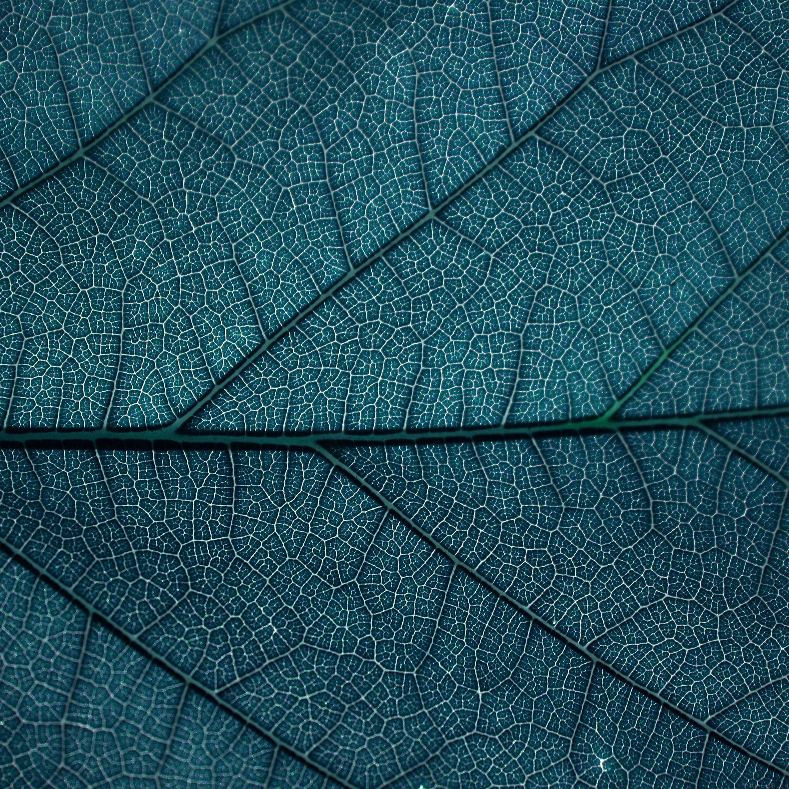 Green Blue Texture Pattern Wallpapers