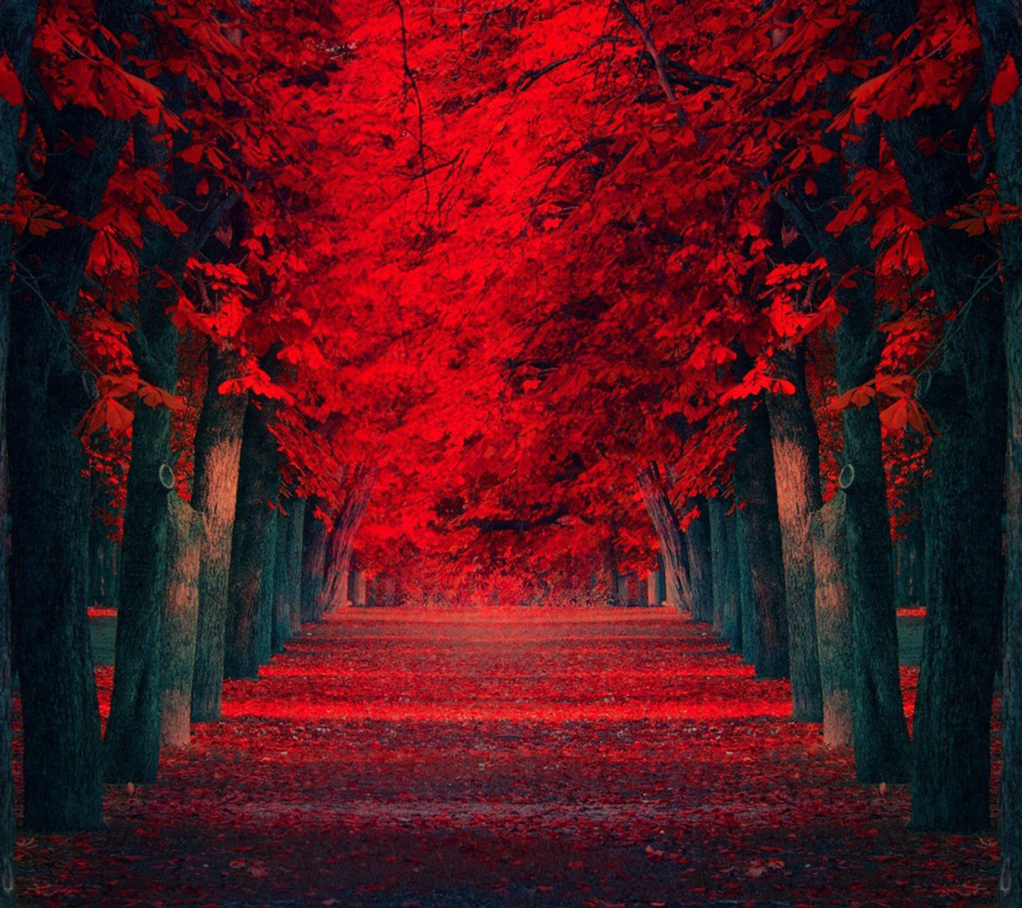 Amazing Red Wallpapers