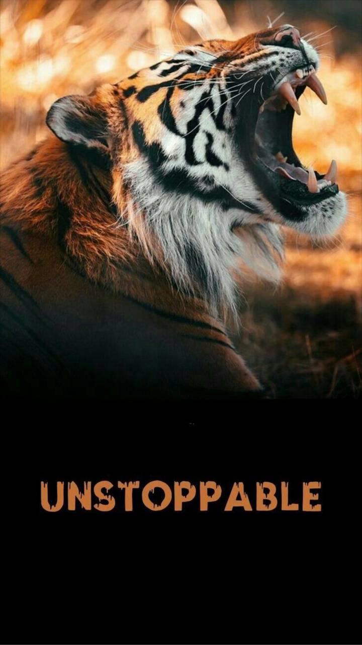 Unstoppable Warrior Wallpapers
