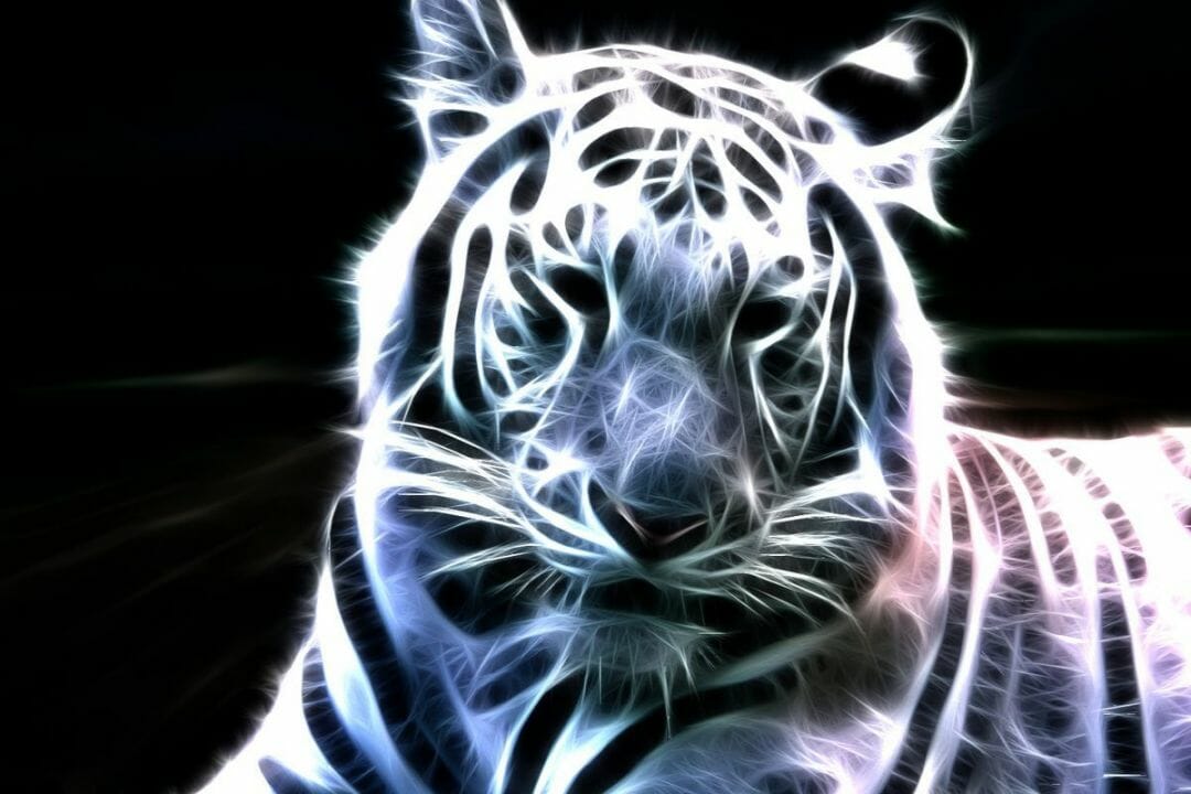 Abstract Animal Wallpapers