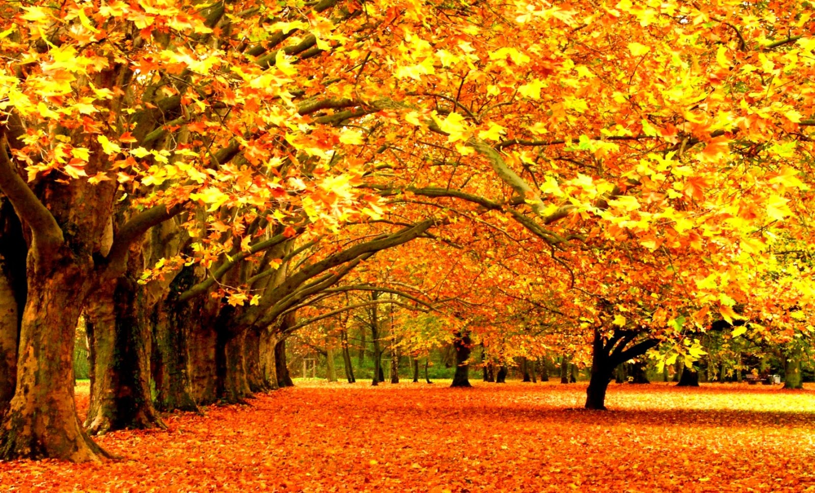 Abstract Autumn Wallpapers