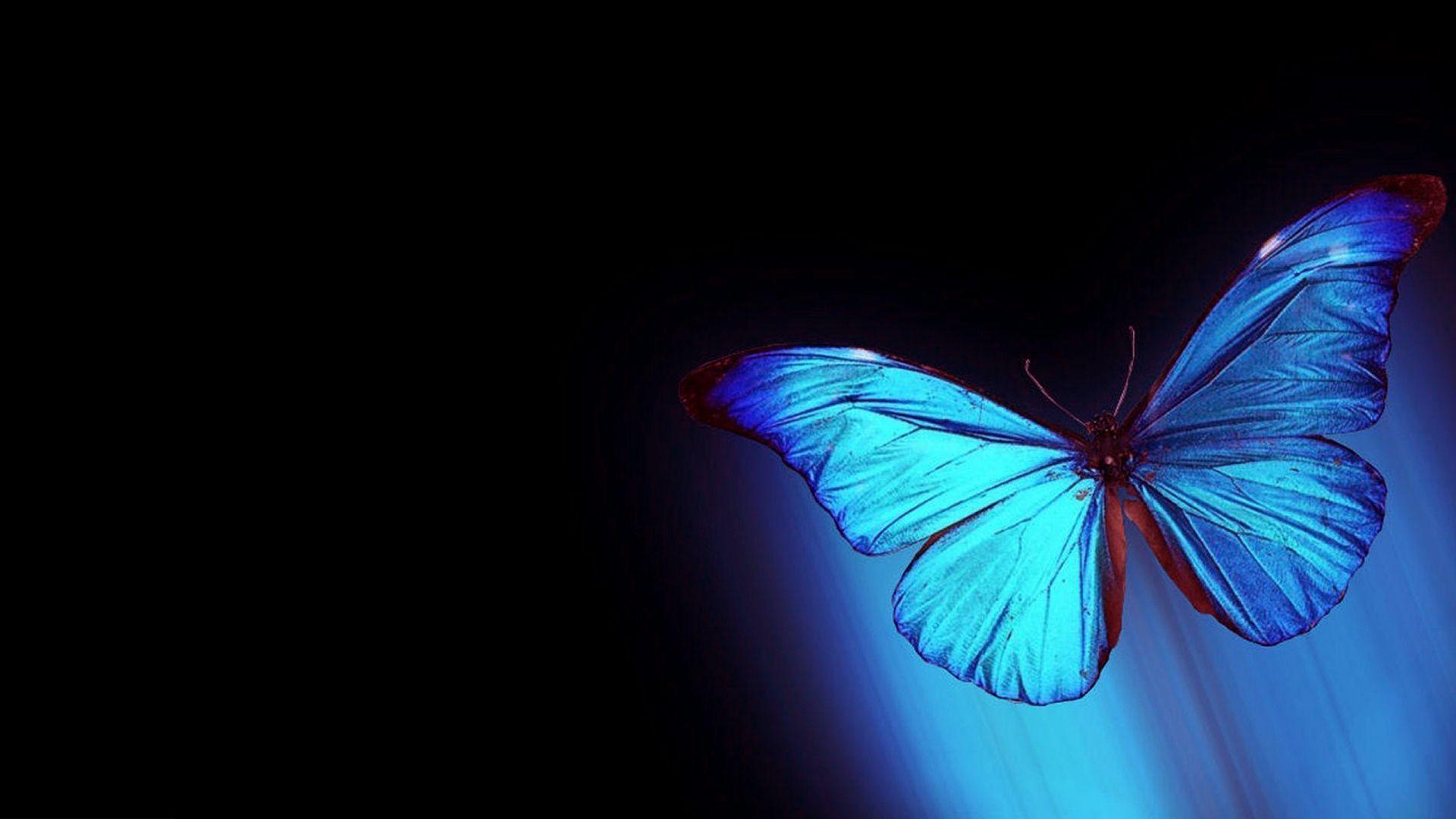 Abstract Butterflies Desktop Wallpapers