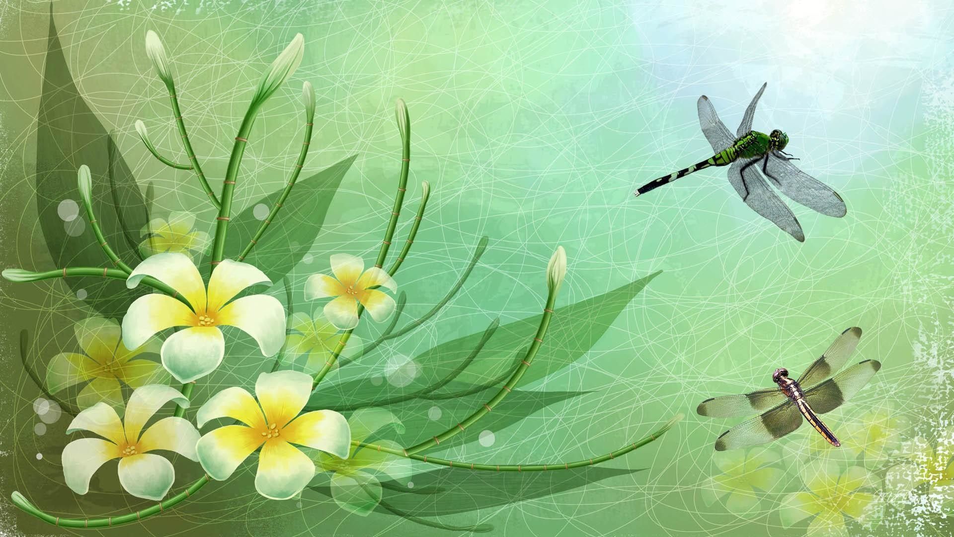 Abstract Dragonfly Wallpapers