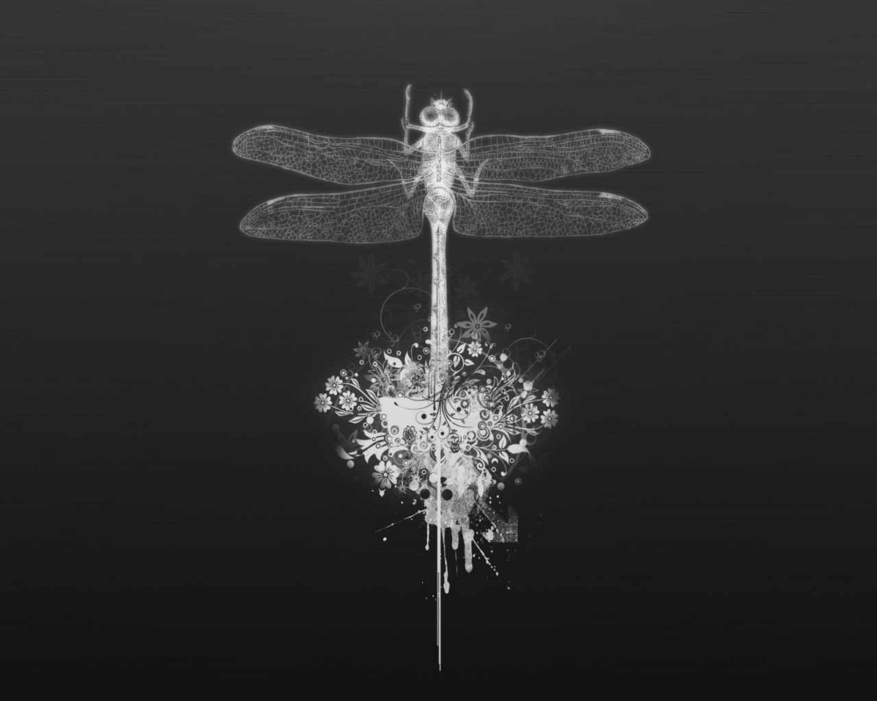 Abstract Dragonfly Wallpapers