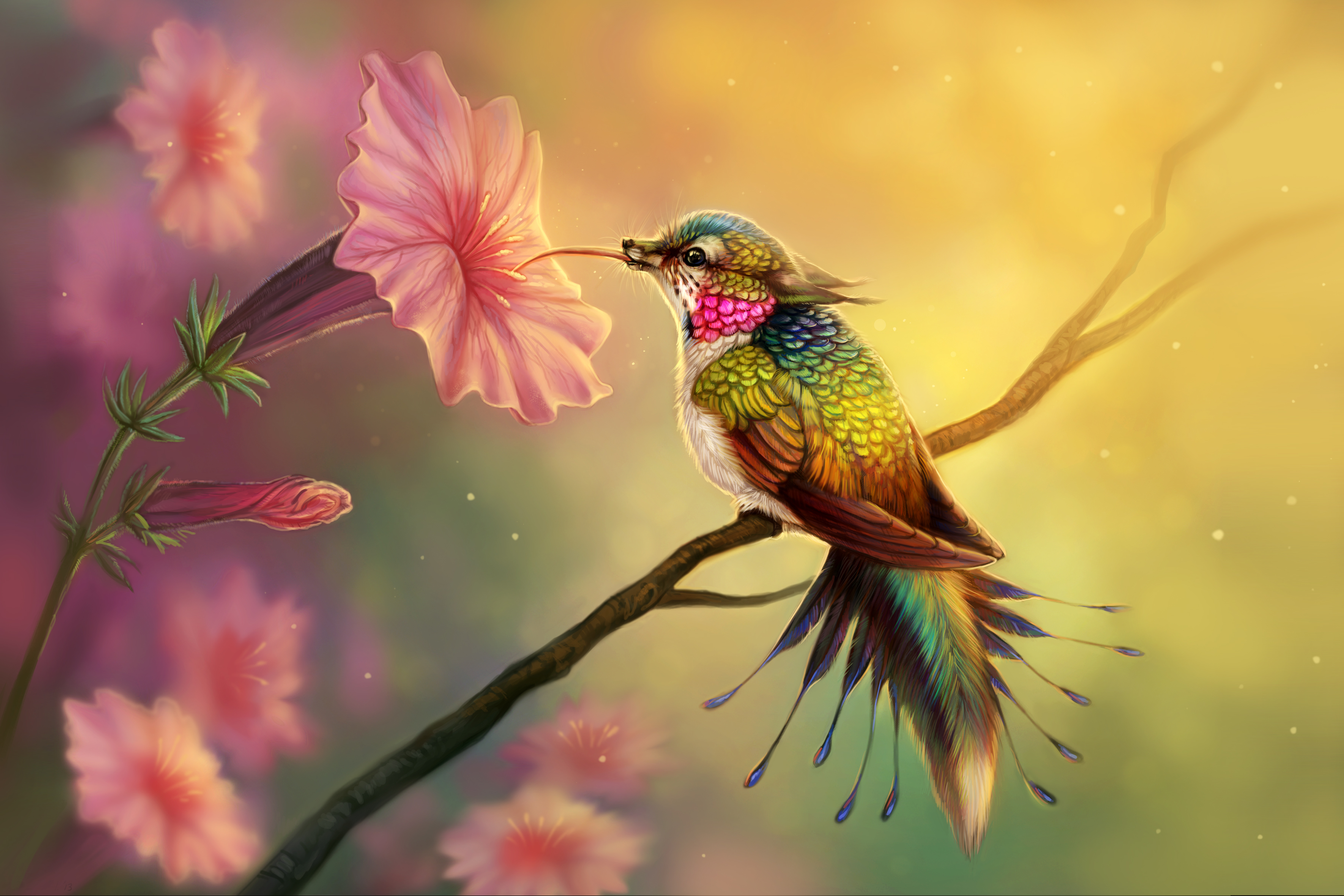 Abstract Hummingbird Wallpapers