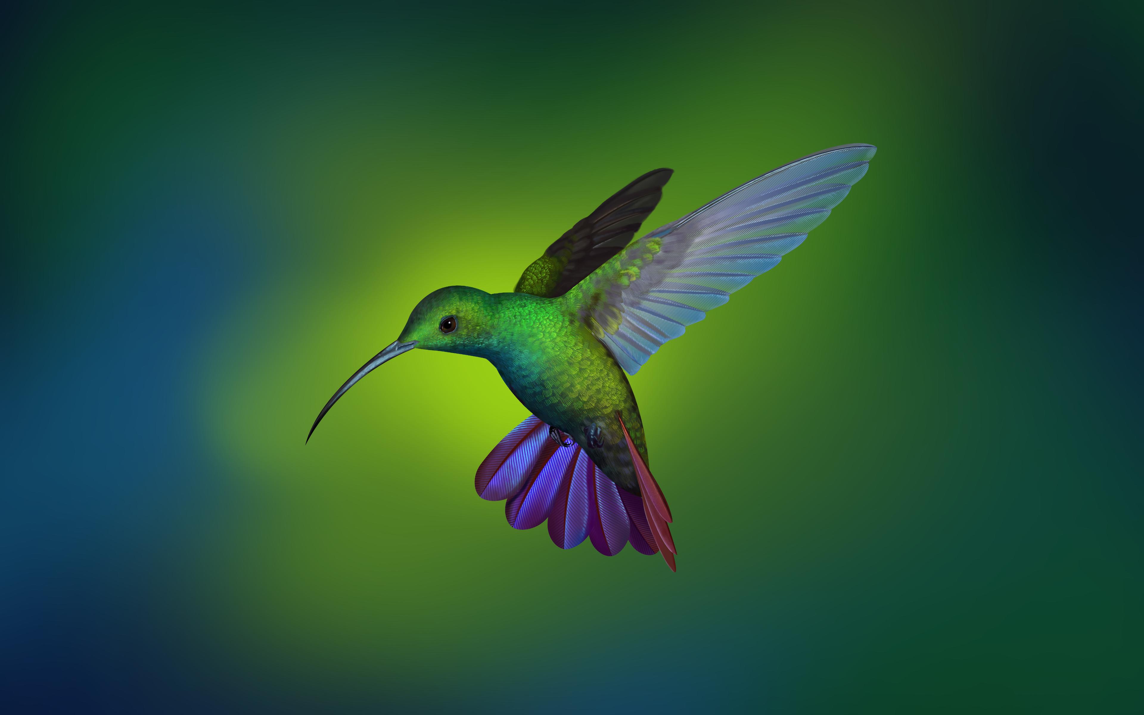 Abstract Hummingbird Wallpapers