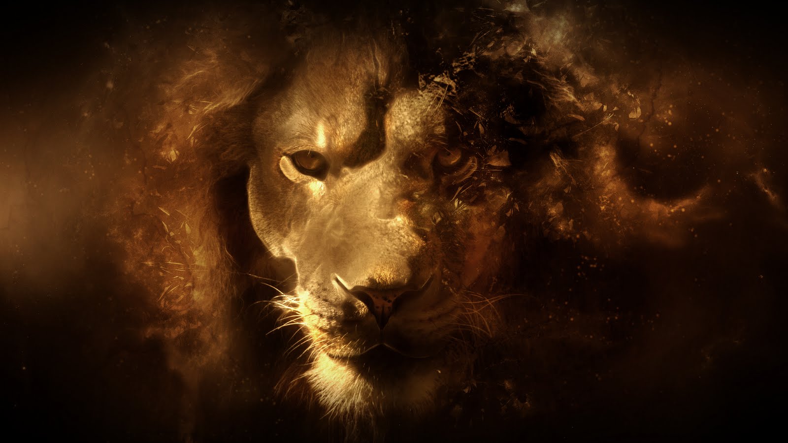 Abstract Lion Wallpapers