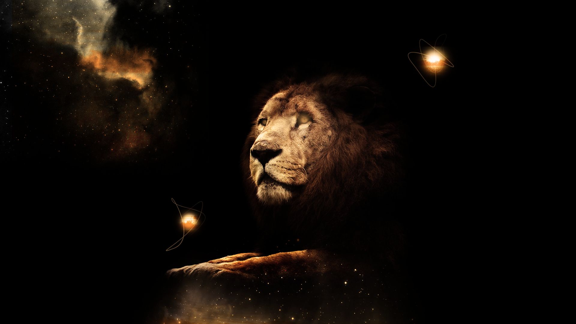 Abstract Lion Art Desktop Wallpapers