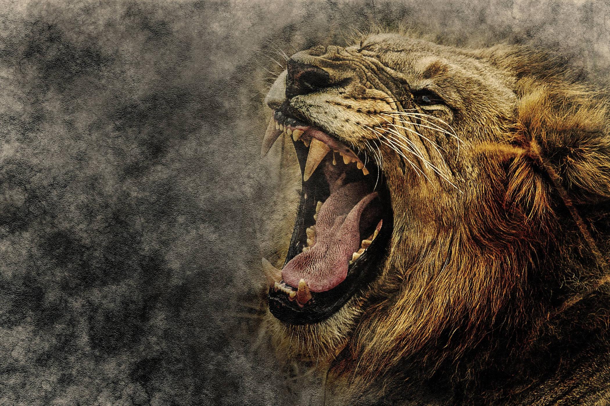 Abstract Lion Art Desktop Wallpapers