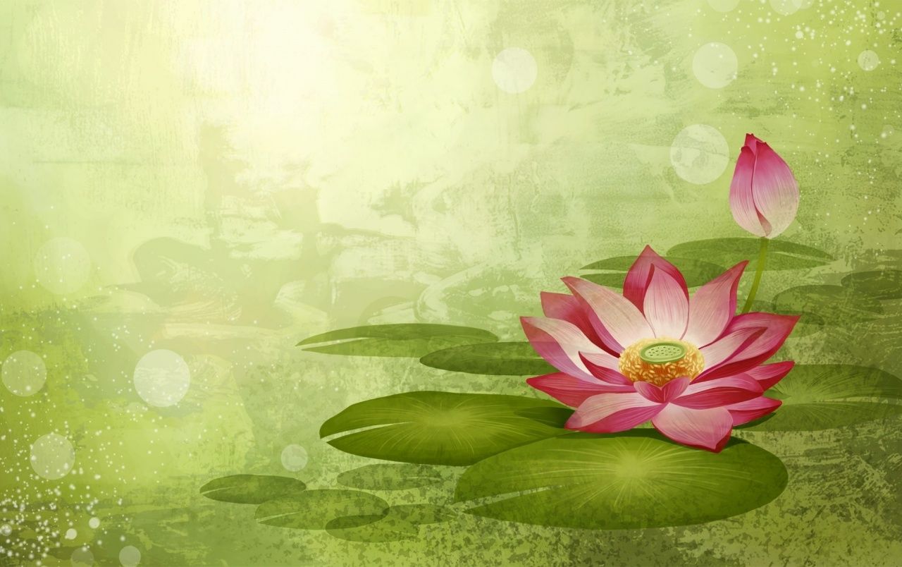 Abstract Lotus Wallpapers