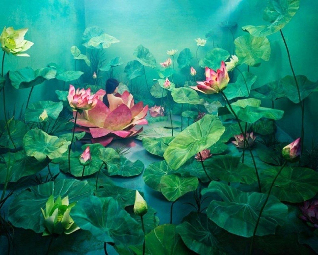 Abstract Lotus Wallpapers