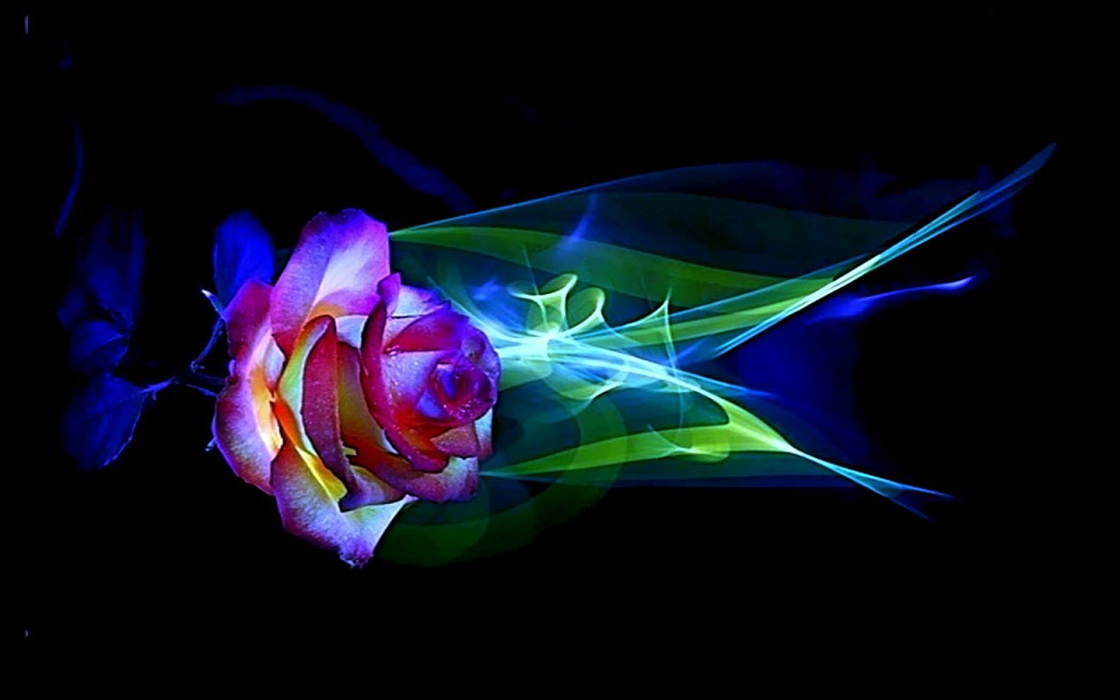 Abstract Roses Desktop Wallpapers