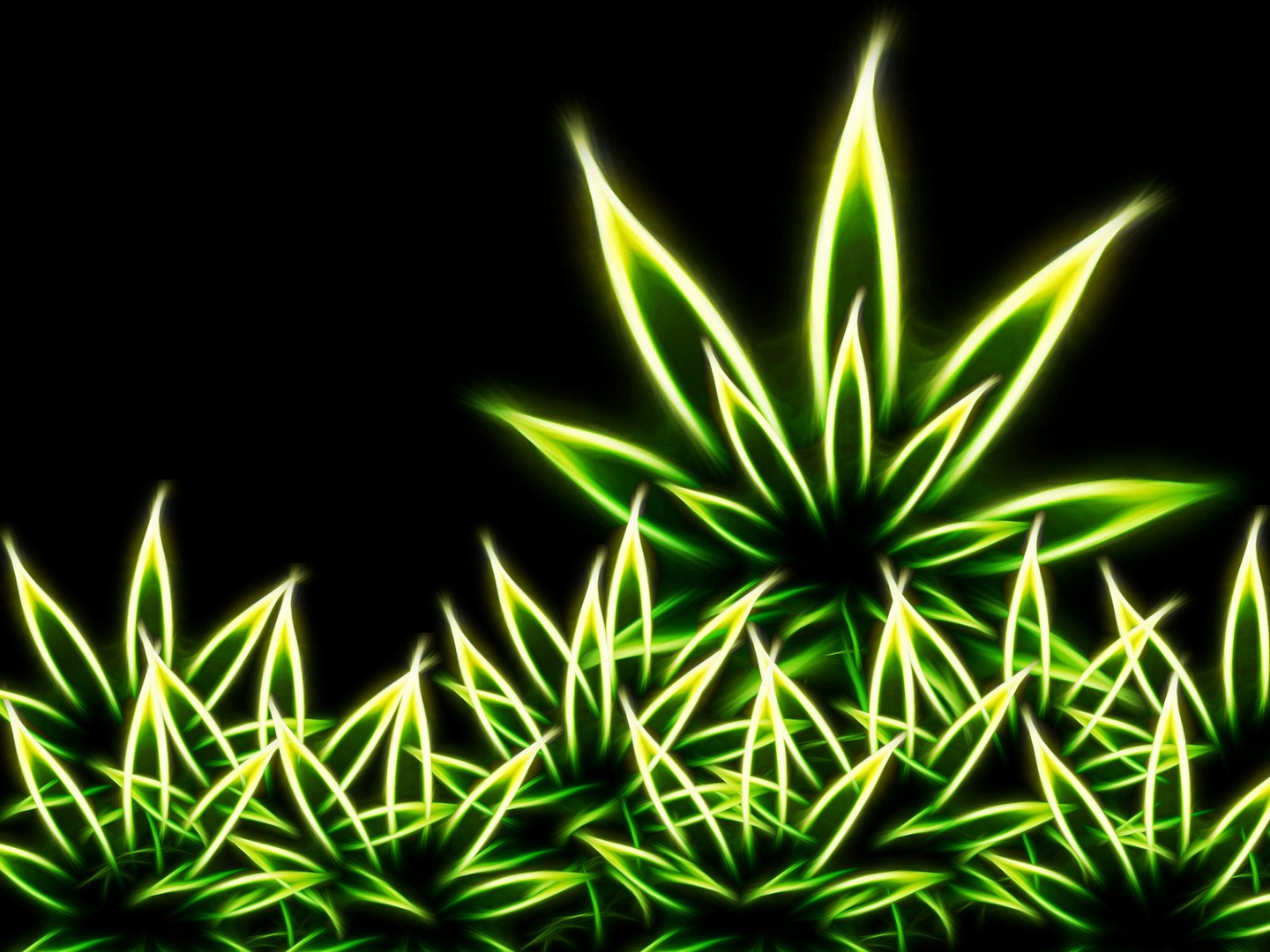 Abstract Weed Wallpapers