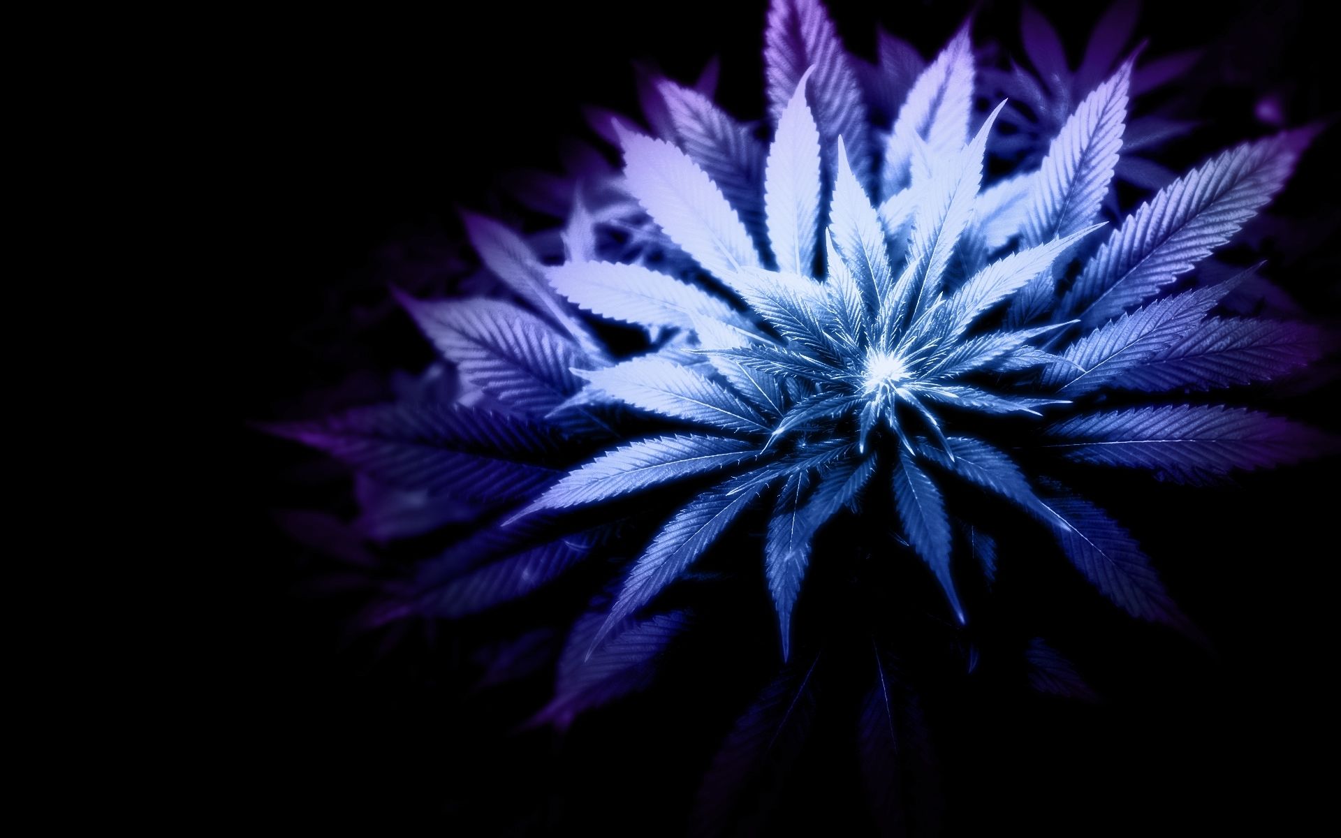 Abstract Weed Wallpapers