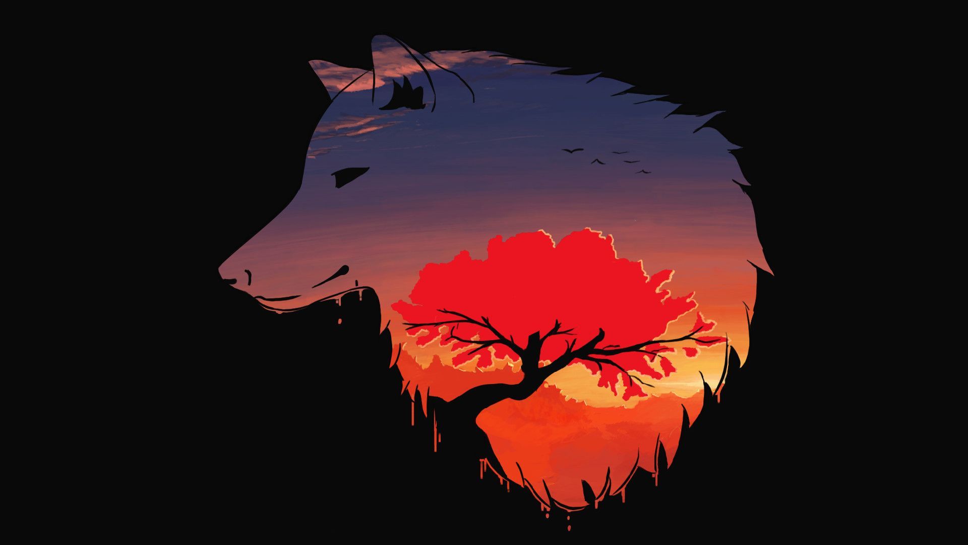 Abstract Wolf Hd Wallpapers