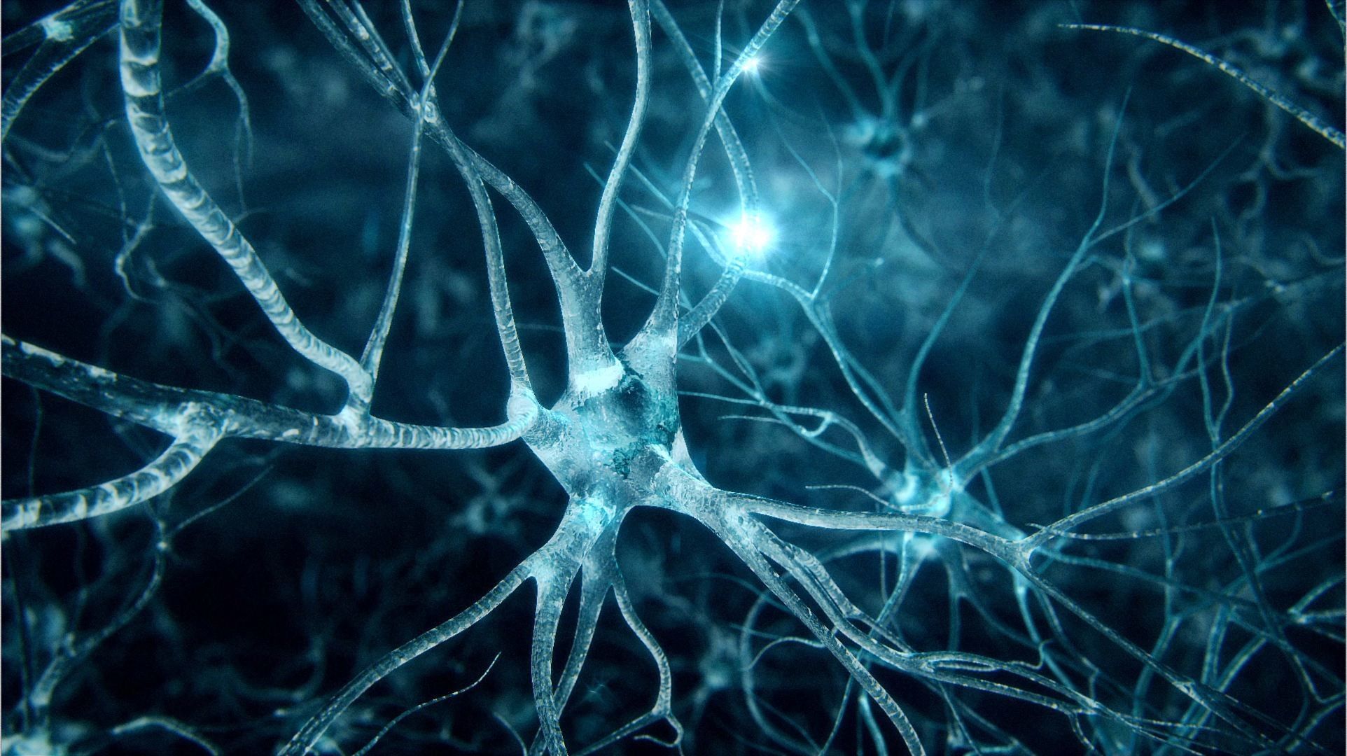 Abstract Neuron Wallpapers