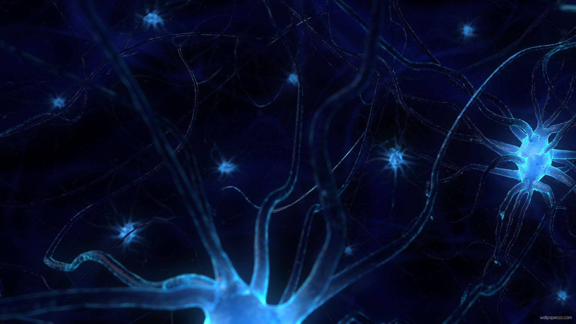 Abstract Neuron Wallpapers