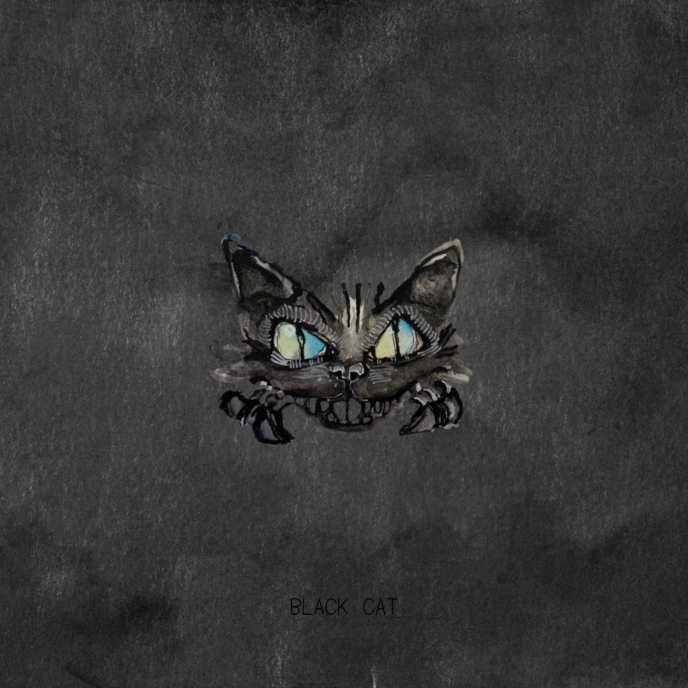 Aesthetic Black Cats Wallpapers