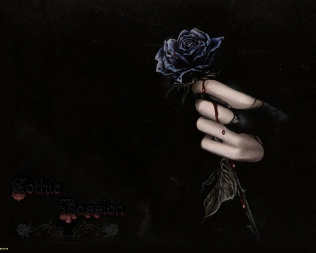 Aesthetic Black Rose Wallpapers