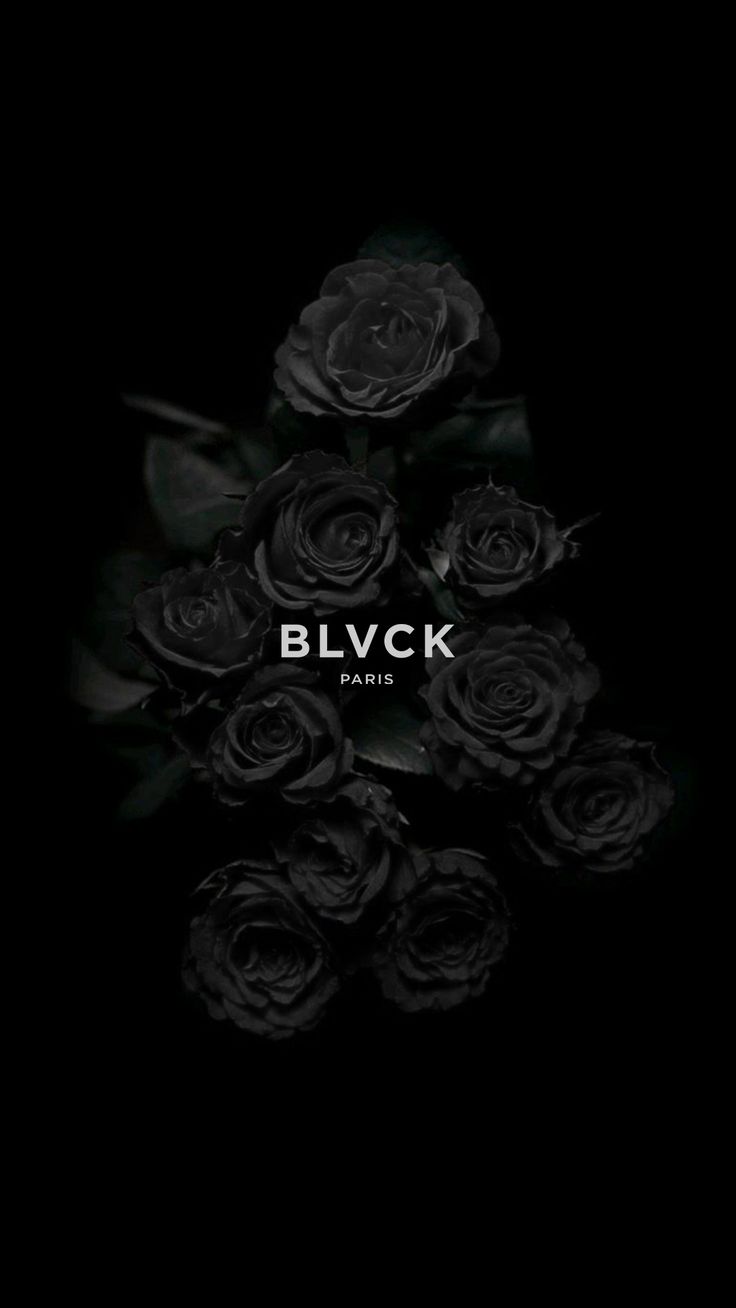 Aesthetic Black Rose Wallpapers