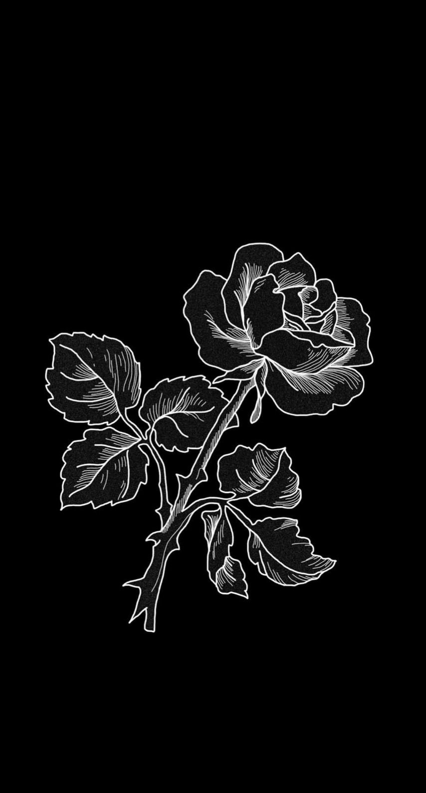 Aesthetic Black Rose Wallpapers