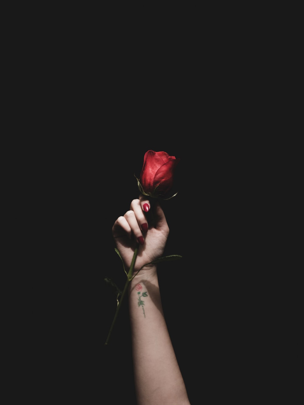 Aesthetic Black Roses Wallpapers