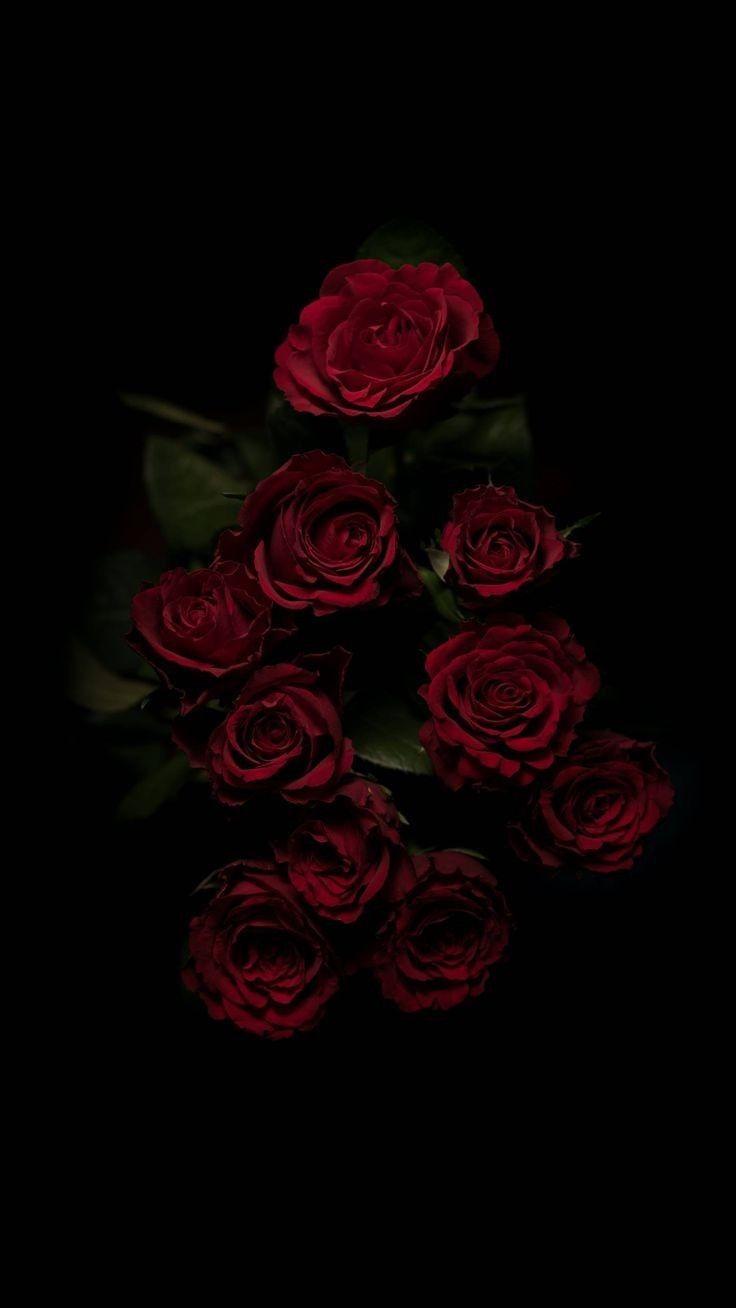 Aesthetic Black Roses Wallpapers